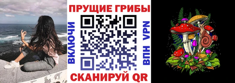 Псилоцибиновые грибы мухоморы МЕГА как войти Новочебоксарск
