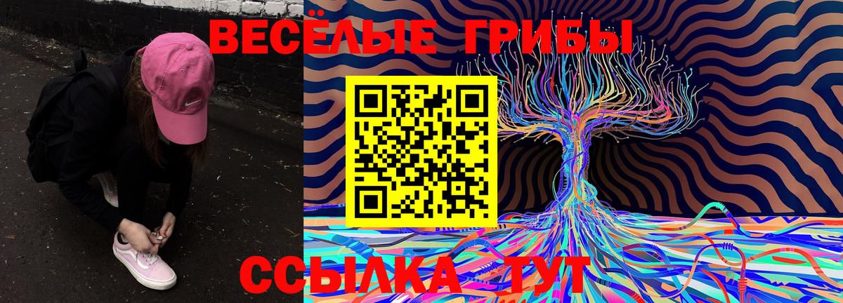 Новочебоксарск  Псилоцибиновые грибы Cubensis  Вход с VPN 