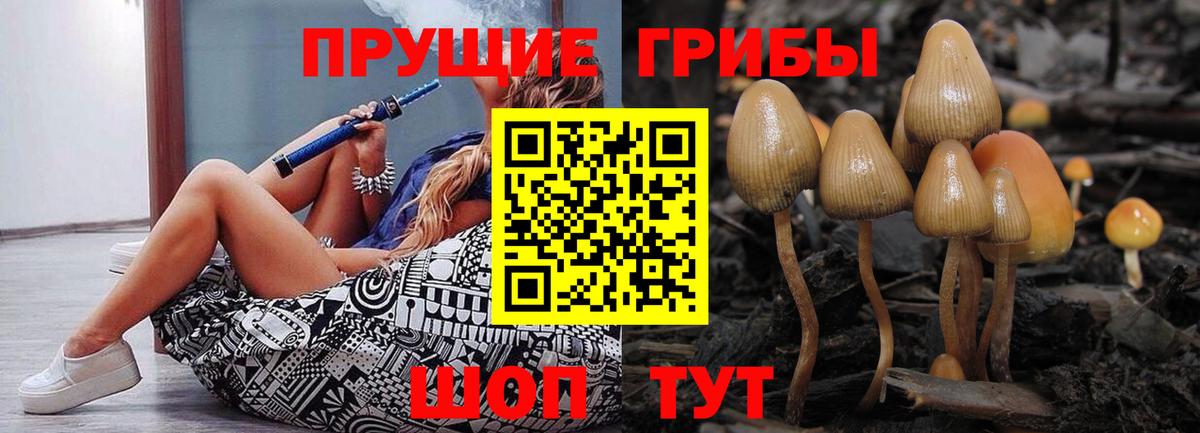 Галлюциногенные грибы Psilocybine cubensis Новочебоксарск